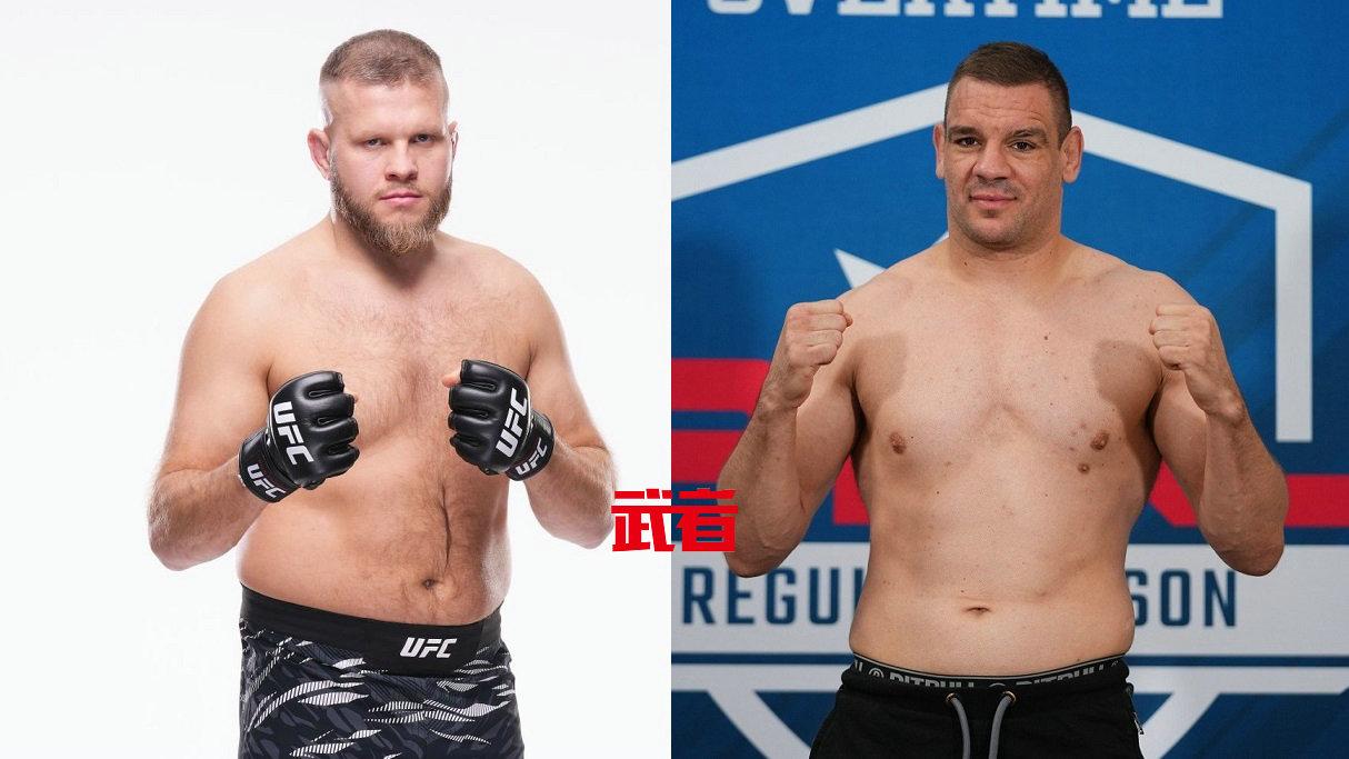 UFC_Tybura_Delija.jpg
